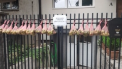 BESPLATNE SMOKVE, POSLUŽITE SE Domaćin iz Zemuna daruje, uredno složene kese okačene na ogradi oduševile sve prolaznike