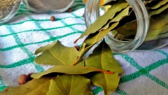 UZ POMOĆ LOVOROVOG LISTA NOVCA Jednostavni rituali koji će vam omogućiti lakši izvor prihoda