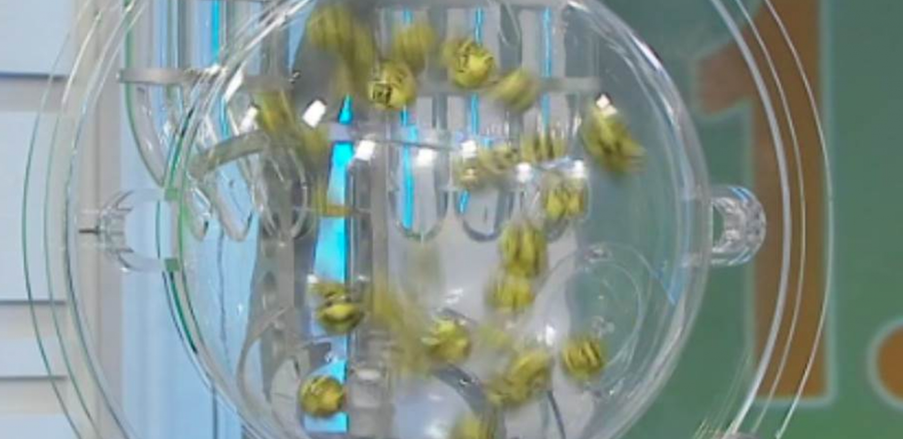 IZVUČEN LOTO MILIONER! Evo odakle je srećni dobitnik 53.900.000 dinara