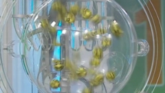 IZVUČEN NOVI LOTO MILIONER U SRBIJI Evo u koji grad je otišlo preko 10.000.000 dinara