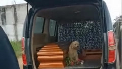 PUĆI ĆE VAM SRCE! Dok su mu sahranjivali vlasnicu, pas je bio odan do kraja(VIDEO)