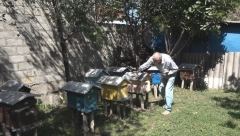 NAJLEKOVITIJA NAMIRNICA NA SVETU Potpuno je prirodna kao hrana i lek, sadrži 22 vitamina i 7 minerala