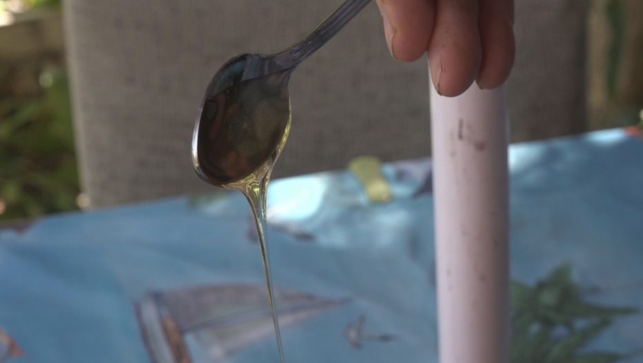 ZBOG SVOJE BLAGODETI Propolis se koristi u lečenju brojnih oboljenja