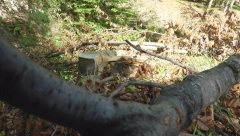 NESREĆA U BIJELJINI Eksplodirala mu motorna testera u rukama, sa teškim opekotinama prevezen u Beograd