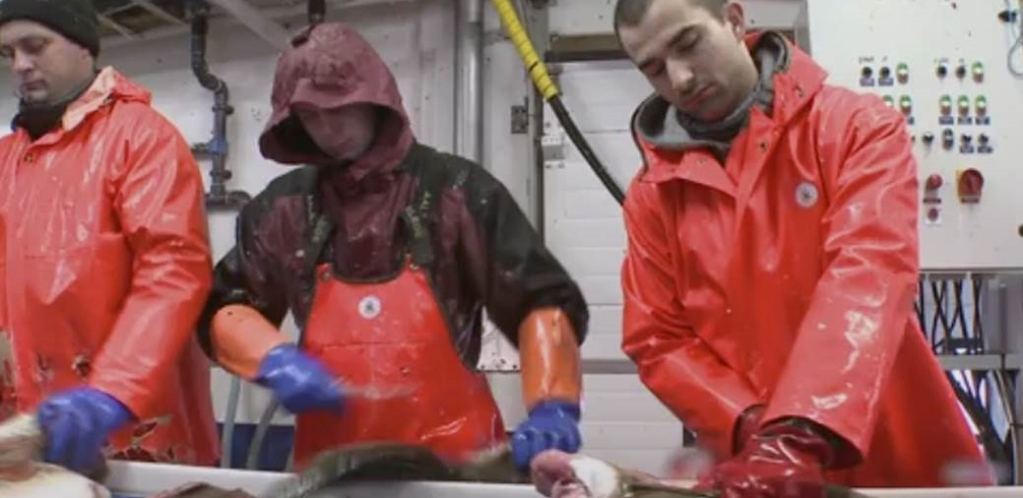 HAOS ZBOG IVINE PRIČE! UPOREDILA USLOVE I PLATU NA ALJASCI I NA PRIMORJU: Izazvala lavinu komentara!