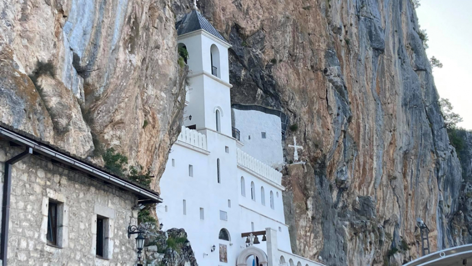 DARIO SPASIO ŽIVOT DEČAKU (15) Hteo da poseti Ostrog, a onda je krenula borba za život