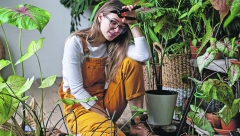 SAVET ZLATA VREDAN Jednom godišnje uradite ovo sobnim biljkama i imaćete pravu "džunglu u kući"