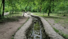 OPASNI PREDATORI U ŠUMAMA SRBIJE Napadi plaše stanovništvo, teško se love i zato ih je sve više! (FOTO)