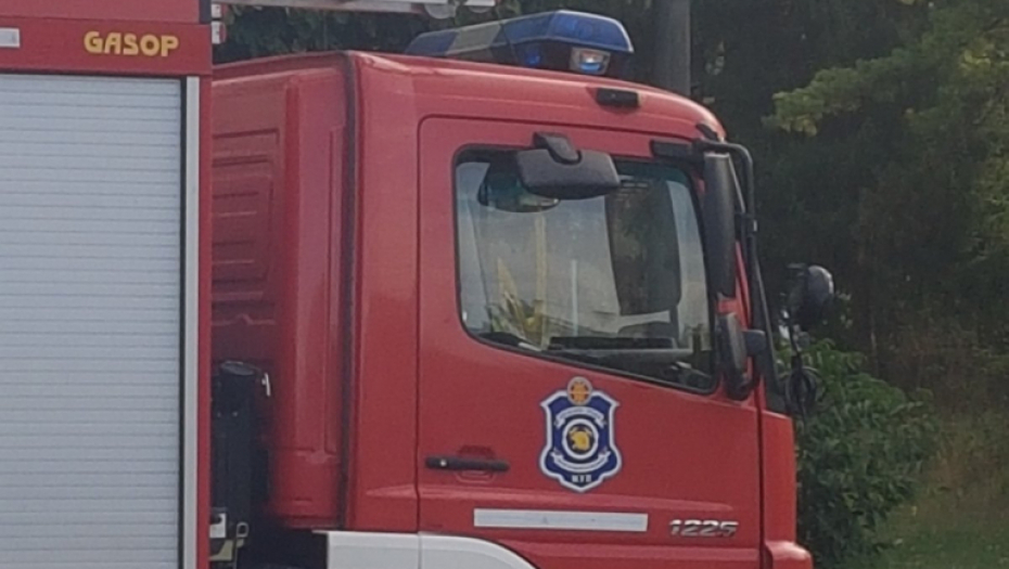 POŽAR NA NIŠAVSKOM KEJU, VATRA SE PRIBLIŽILA DO PRVE KUĆE Vatrogasci i građani brzom reakcijom sprečili veću dramu