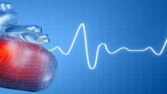 NAŠE BAKE SU SVAKI DAN JELE PO ŠAKU OVOG VOĆA Naučnici dokazali da 30 grama značajno smanjuje rizik umiranja od srca