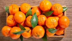 Ovakvu zimnicu niste probali: Recept za mandarine u tegli
