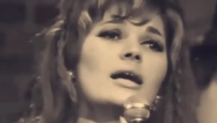 SLOMIĆU FLAŠU, PA ĆU NJOM DA TI NAGRDIM LICE Silvana Armenulić je pretukla ljubavnicu svog muža: Htela je da mi uzme dete!