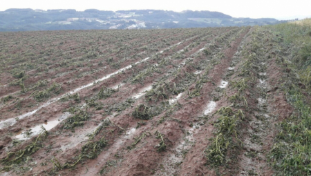 HRVATSKU ČEKA DUGA, GLADNA ZIMA Seljaci očajni: Troškovi dupli ili utrostručeni, niko neće da rizikuje!