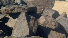 TAMNA STRANA OSLANJANJA NA KOLUMBIJSKI UGALJ Da li će Nemačka žmuriti na cenu koju plaćaju kolumbijski starosedeoci?