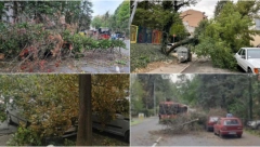 RHMZ IZDAO UPOZORENJE Olujni vetar će nositi sve pred sobom, evo koji delovi Srbije su prvi na udaru