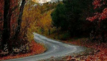 HOROSKOP ZA PONEDELJAK, 25. OKTOBAR: Raka brzopletost skupo košta, Vaga će emotivno procvetati, Ovan dobija poslovnu ponudu koja se ne odbija