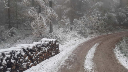 MEĆAVA U NOVOJ VAROŠI Otežan saobraćaj, više kamiona čistača na terenu (FOTO)