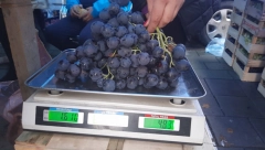 POČELA JE SEZONA A OVO JE NEOPHODNO ZNATI Kako se pravilno i temeljno pere grožđe da bi bilo bezbedno za jelo