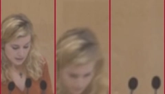 PALA U NESVEST DOK JE PRIČALA O ODLAZEĆEM KANCELARU Haos u Austriji! (VIDEO)