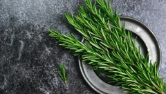 Ublažava tegobe: Ruzmarin kao lek za proširene vene