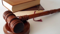 POMOGAO BRATU U UBISTVU Apelacija smanjila kaznu zatvora Lješkoviću za tri godine