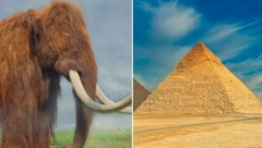 DA LI STE ZNALI, UKIDANJE ROPSTVA I iPOD SU SE DESILI U ISTO VREME Donosimo vam primere neverovatnih istorijskih podudarnosti