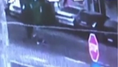 JEZIVO Zbog ovog ubistva je privedena Hrkalović: Krvoproliće u centru grada! (UZNEMIRUJUĆI VIDEO)