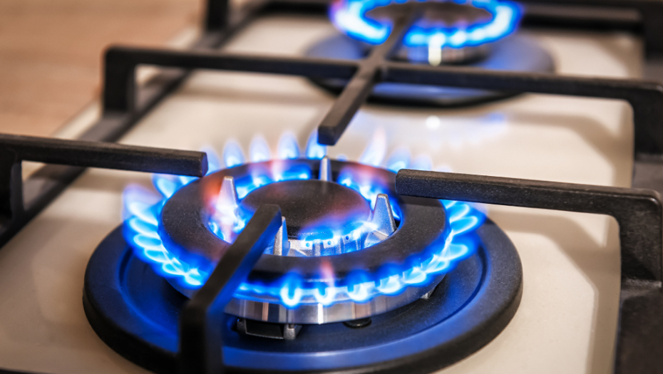 PRESKUPA CENA NAPUŠTANJA RUSKOG GASA Najjača ekonomija Evrope dnevno troši 1,5 milijardi na energente