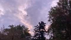 SUNCE ĆE SE BORITI SA OBLACIMA Evo kakvo nas vreme očekuje danas