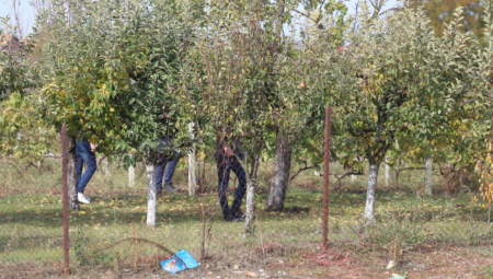 PRONAĐEN SKUTER OSUMNJIČENOG ZA UBISTVO ĐOKIĆA Sa njim pobegao sa mesta zločina i ostavio ga u dvorištu stanice policije!