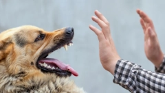 ŠTA UČINITI KADA VAS PAS NAPADNE? Ovi jednostavni saveti mogu vam spasiti ŽIVOT