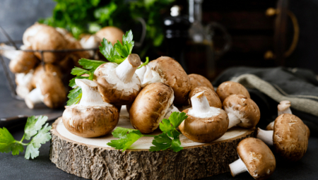 NUTRICIONISTI ISTIČU Šampinjone treba češće da jedemo da bismo imali dug i zdrav život