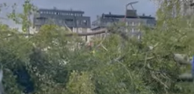 VETAR IZVALJIVAO STABLA, OBORIO SPOMENIK Jaki udari vetra u Sarajevu nosili sve pred sobom (VIDEO)