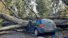 JEZIVE SLIKE SA BEOGRADSKIH ULICA Olujno nevreme pogodilo prestonicu, jaki udari obarali stabla! Uništeni automobili (FOTO)