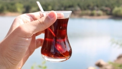 ŠUMADIJSKI ČAJ KAKAV JOŠ NISTE PROBALI: Čika Nikola je vodio poznate beogradske kafane a ovo je njegov tajni recept!