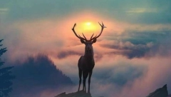 HOROSKOP ZA 8. OKTOBAR Ovnu emotivna praznina, Devici nesporazum sa kolegama, Škorpiji napetost