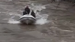 "VIDELA SAM TELO KAKO PLUTA" Tragedija u Sremskoj Mitrovici, muškarac se utopio u Savi