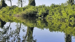 UTVRĐENO JE O KOME SE RADI Identifikovan leš koji je izvučen iz Dunava