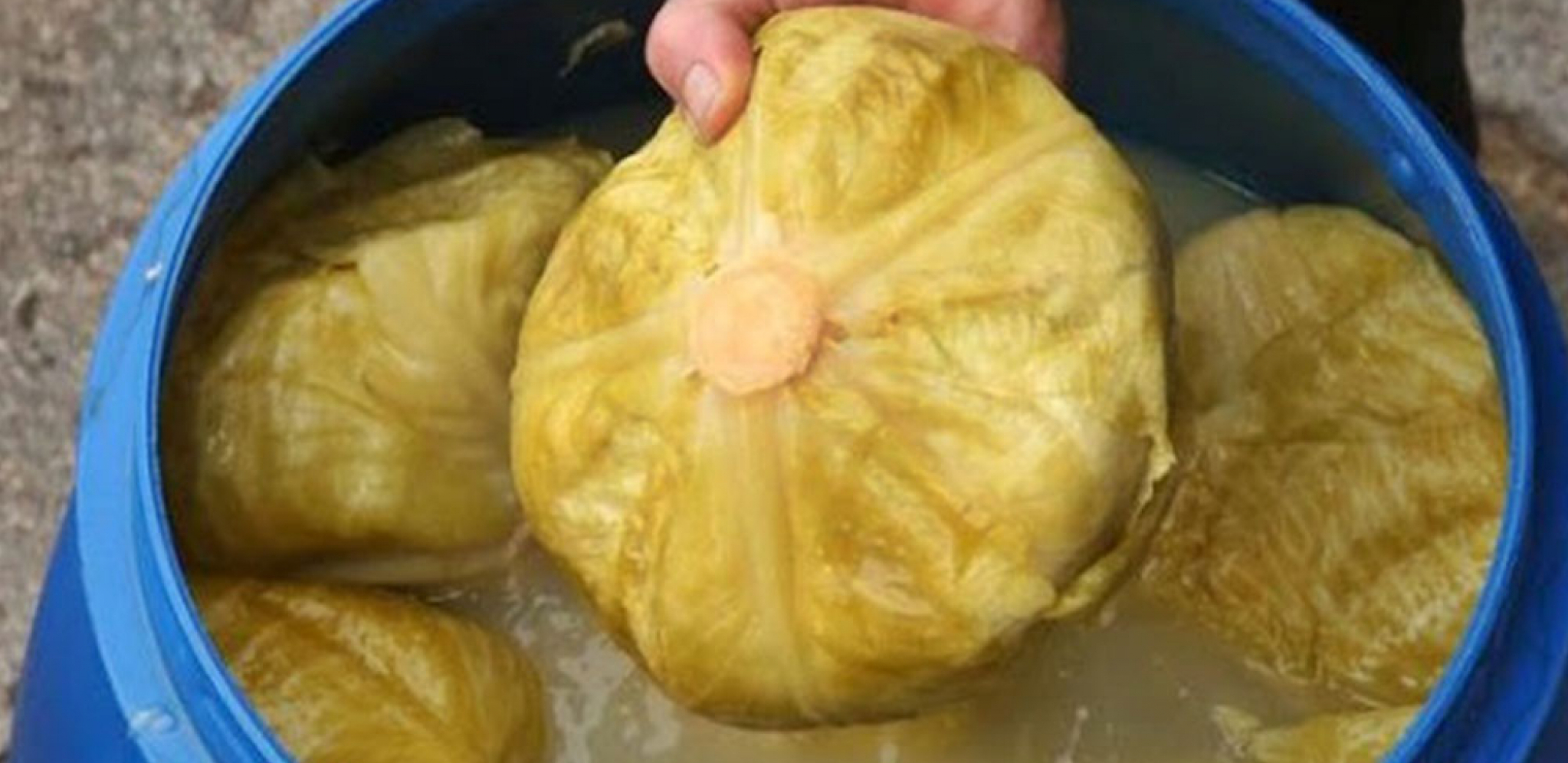 KISELE KUPUS I BACAJU GA U WC ŠOLJU! Da li je to dozvoljeno u stambenoj zgradi? Evo šta kaže zakon