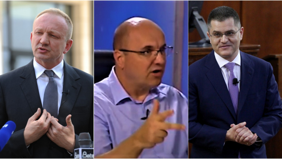 BORA ŠTETOČINA Egzotična pojava u javnom prostoru i gradska voluharica
