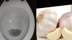 UBACITE BELI LUK U WC ŠOLJU I POSMATRAJTE ČUDO: Kad otvorite vrata od kupatila, sve će vam biti jasno