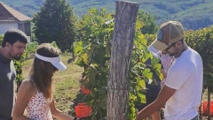 "MI U VINOGRAD, KAD TAMO - NOVAK ĐOKOVIĆ" Meštani sela Lipovac nisu verovali svojim očima! (FOTO)