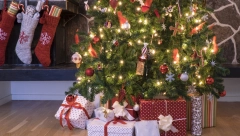 Danas je Božić po gregorijanskom kalendaru