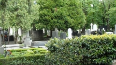 NIJE ŽIVOT JEDNA ŽENA Baja nije žalio para da ispriča svoju priču na nadgrobnom spomeniku