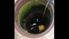 HUMAN GEST SRPSKIH VATROGASACA David i Stefan spasili psa iz šahte! (VIDEO)