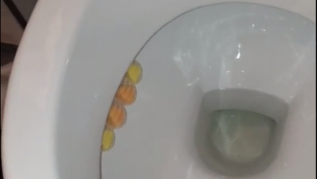 BACI UPALJENU ŠIBICU U WC ŠOLJU To će vam pomoći u borbi protiv jednog problema