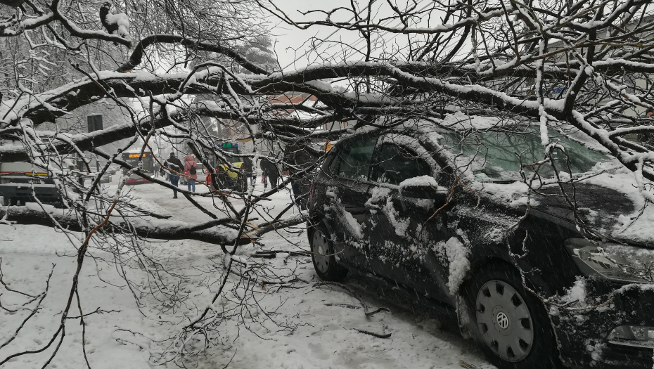DRVO ZAROBILO LJUDE U AUTOMOBILU Palo pod težinom snega, vatrogasci krenuli u spasavanje