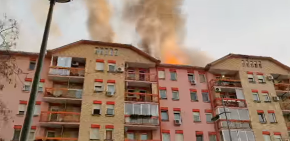 DETALJI POŽARA NA LIMANU Vatrogasci se i dalje bore sa vatrenom stihijom (VIDEO)