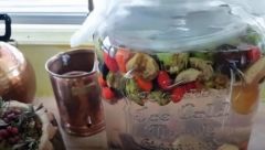 OVOM VOĆNOM TURŠIJOM LEČILI SU SE NAŠI PRECI: Vodnjika ima isceliteljsku moć, a evo od kojih bolesti čuva!