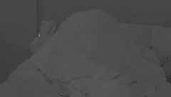 NE ZNAJU ZA BLAM! Car i Maja imali žestoku vrelu akciju u cik zore, pa probudili sve zadrugare, nisu mogli da se obuzdaju (VIDEO +18)